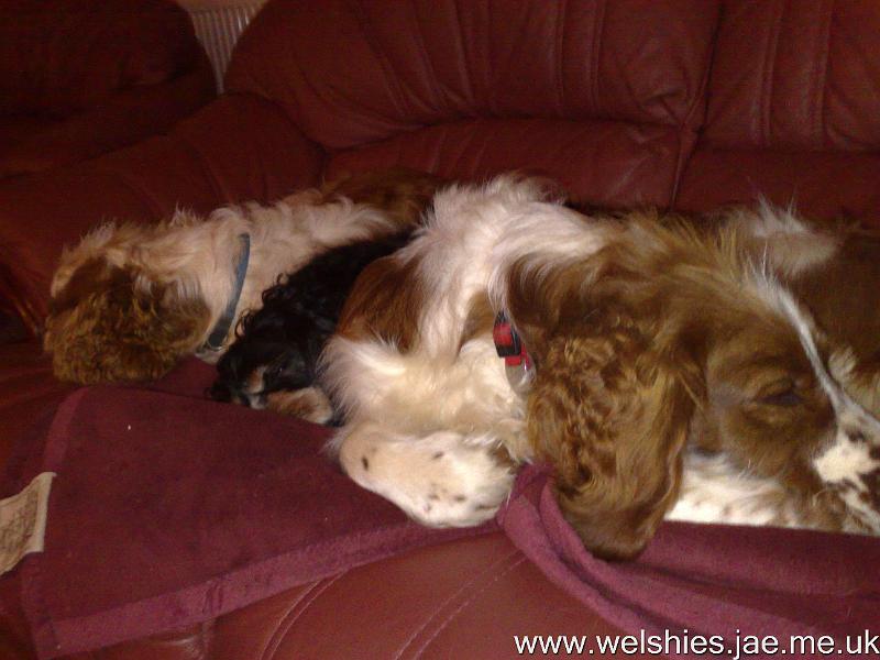 2009-12-29 02.jpg - Cuddle time!